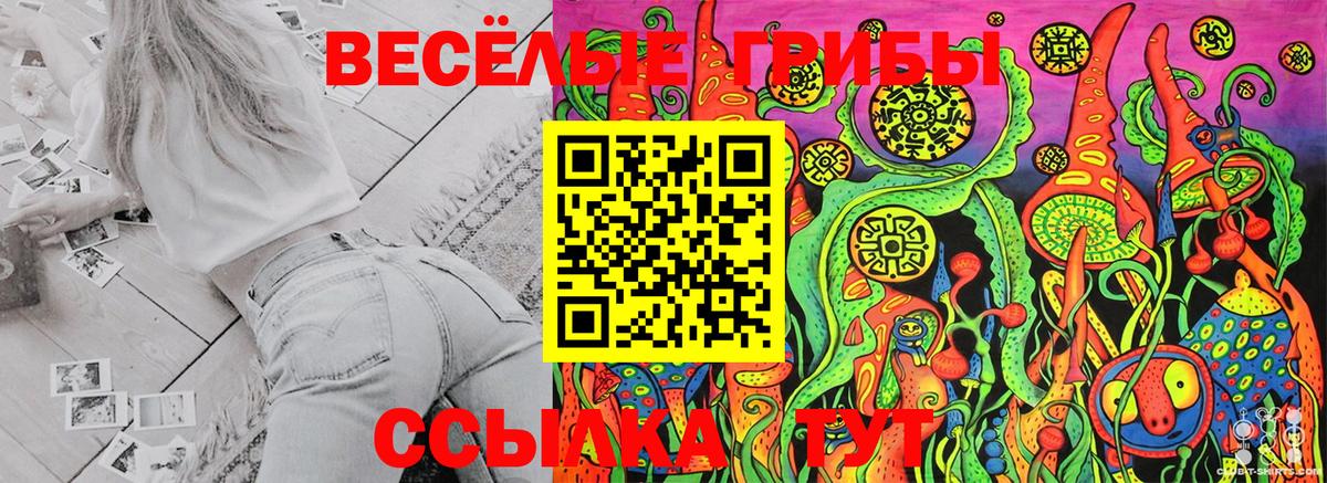 Галлюциногенные грибы прущие грибы  Псилоцибиновые грибы Magic Shrooms  Вход с VPN  Назрань 